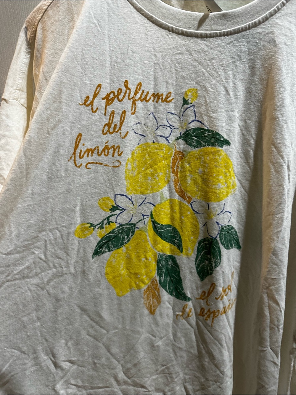 NWT Marine Layer Oversized Hemp Graphic Tee Lemons Stitch Fix - Picture 3 of 8